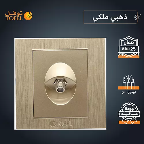 فيش منفذ دش مفرد لون فضي توفل