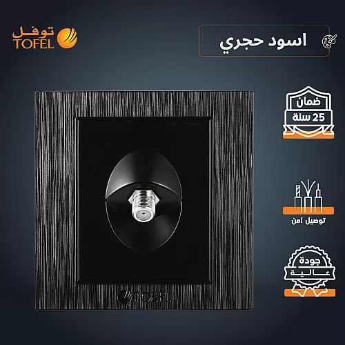 فيش منفذ دش مفرد لون فضي توفل