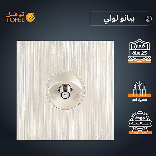 فيش دش لون بيانو جرافيت رويال