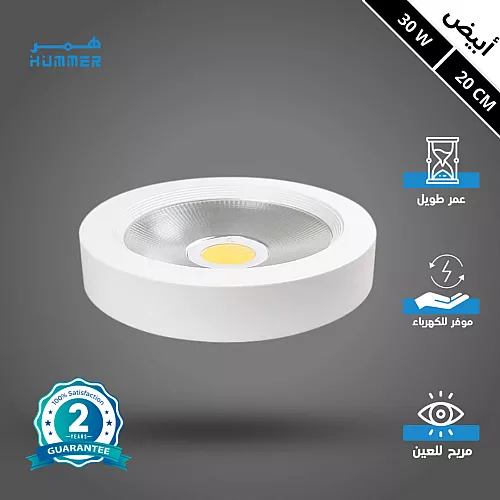 كشاف لطش بنل 12 واط لون الانارة ابيض فيليبس