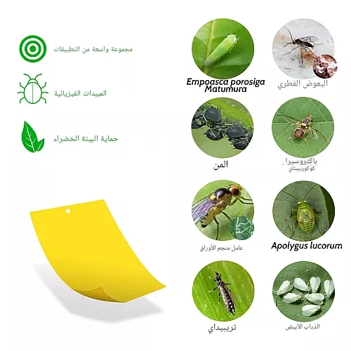 كشاف جداري خارجي يعمل بالطاقة الشمسية بدون كهرباء توفل اسود لون الاضاءة ملون اصفر القدرة 2 واط مع حساس ضوء