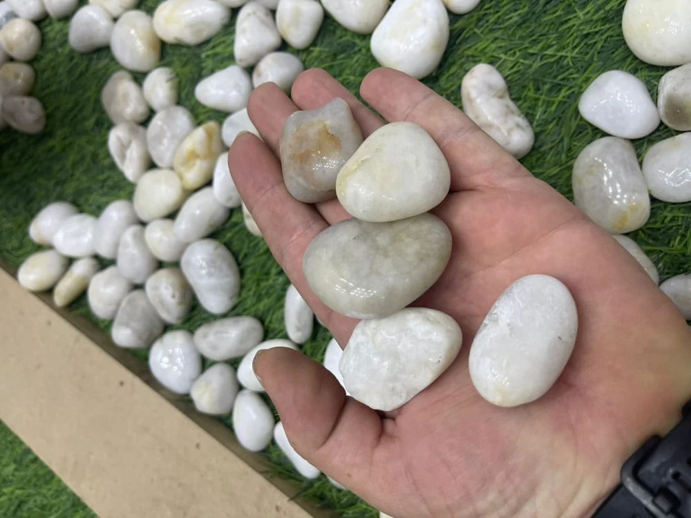 حجر زينة ابيض لامع صغير عبوة 5 كيلو | حصى أبيض