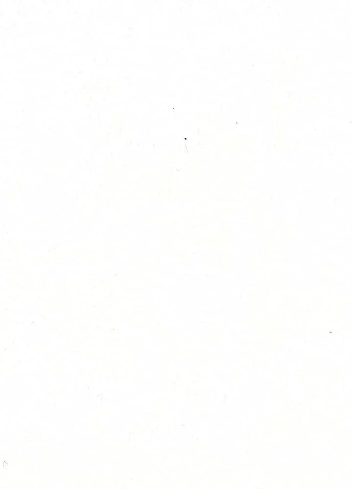 بورسلان ابيض سادة | 120093
