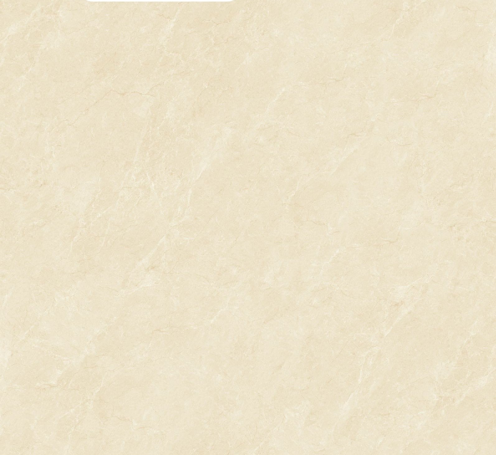 وانغ BW120119