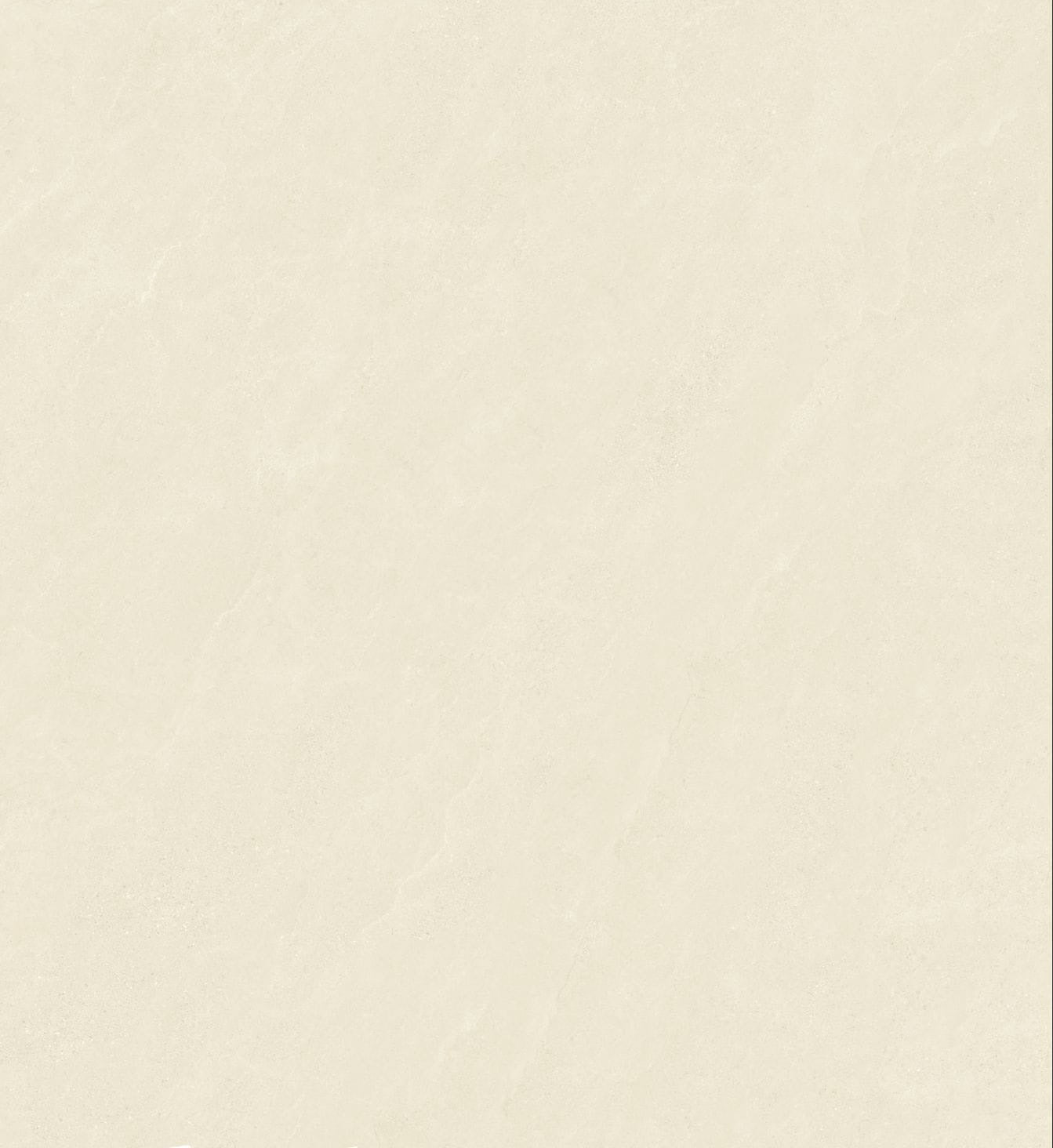 وانغ BW120801