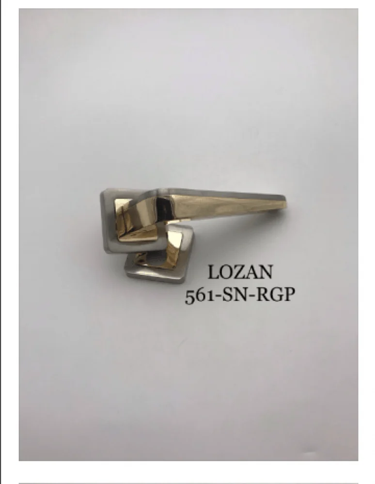 يد باب مفصول 561-SN-RGP
