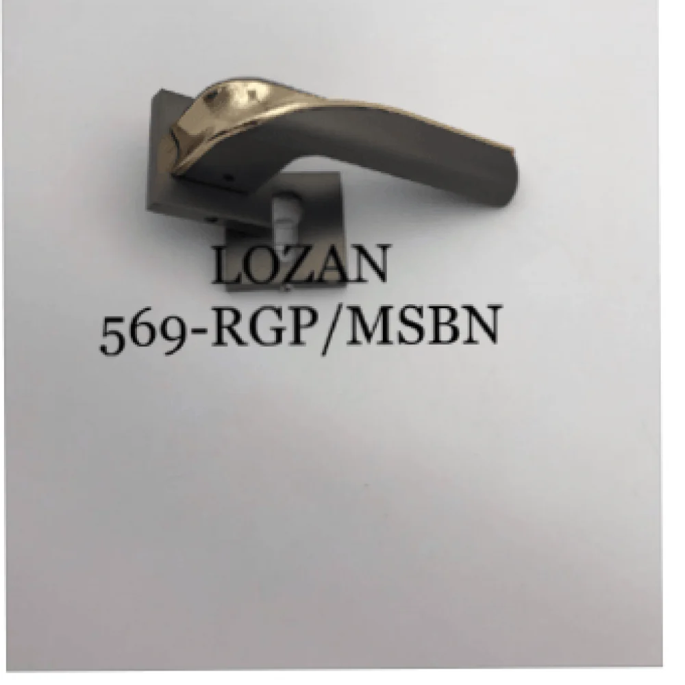يد باب مفصول 569-RGP-MSBN
