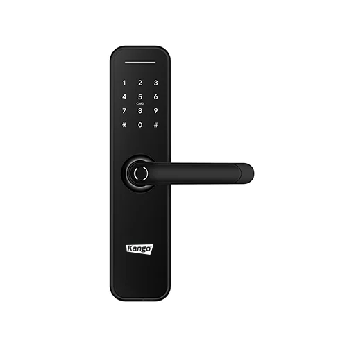 قفل ذكي H5 - WIFI