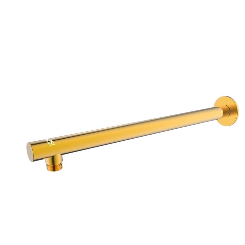 ذراع دش حائط دائرى  من اى كاست، 30 سم، SS304  - ذهبى