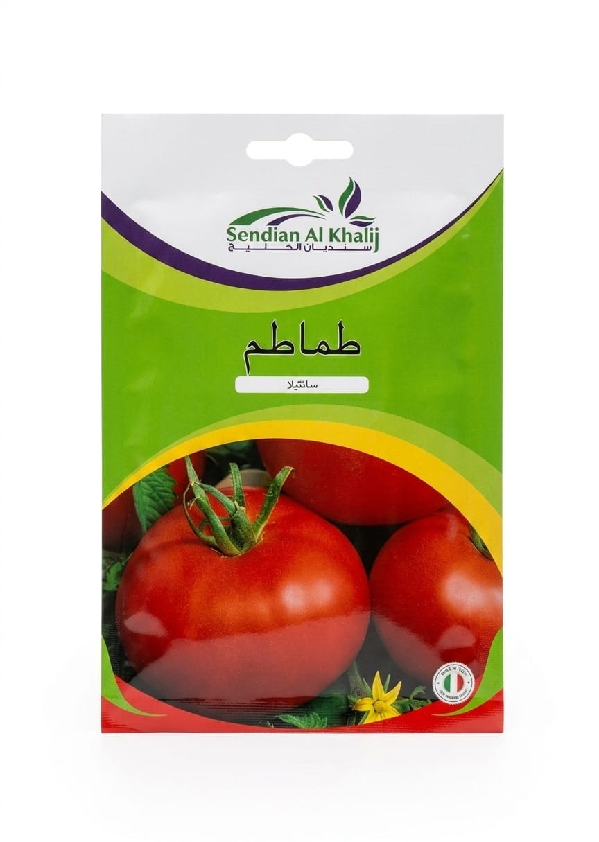 بذور طماطم سانتيلا
