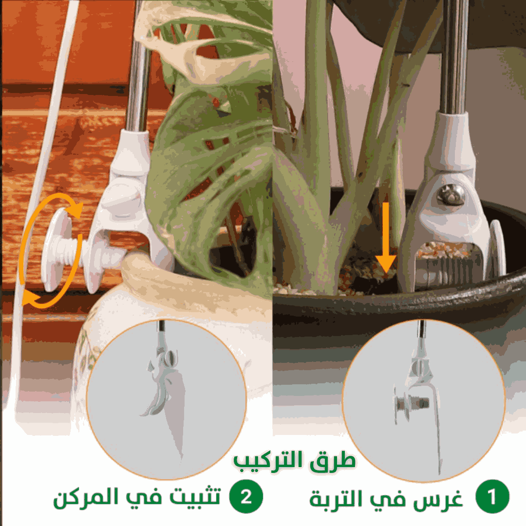 إضاءة نبات