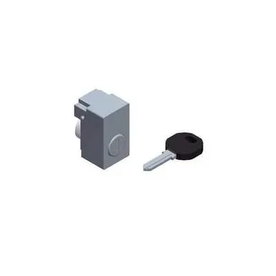 شنايدر - إكسسوار لوحة خدمة - LOCK WITH KEY type 405E