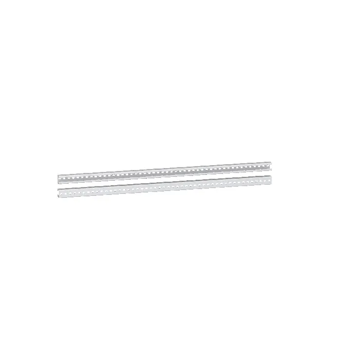 شنايدر - إكسسوار لوحة خدمة - 2 HEAVY DUTY VERT.RAILS