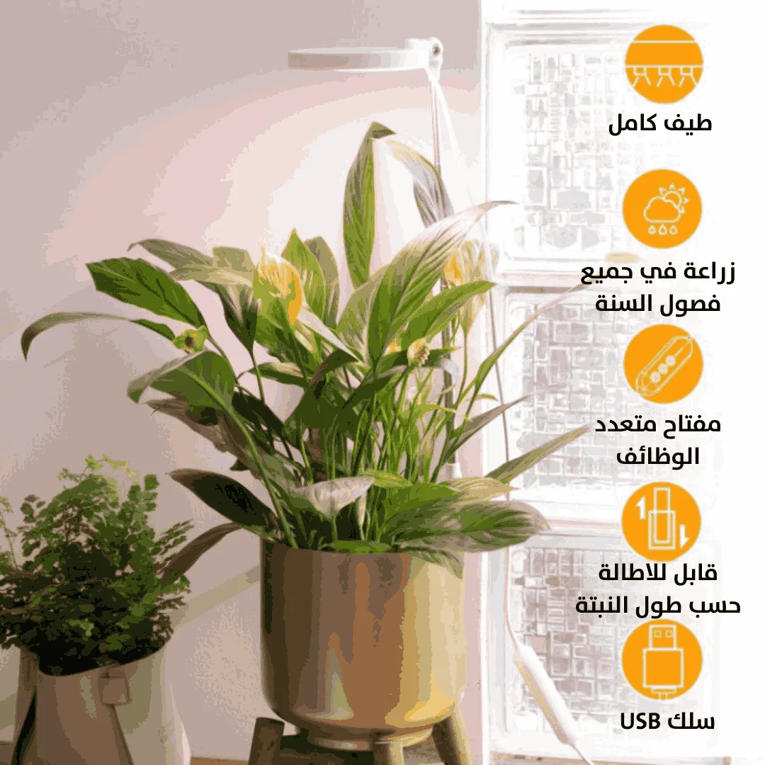 إضاءة نبات