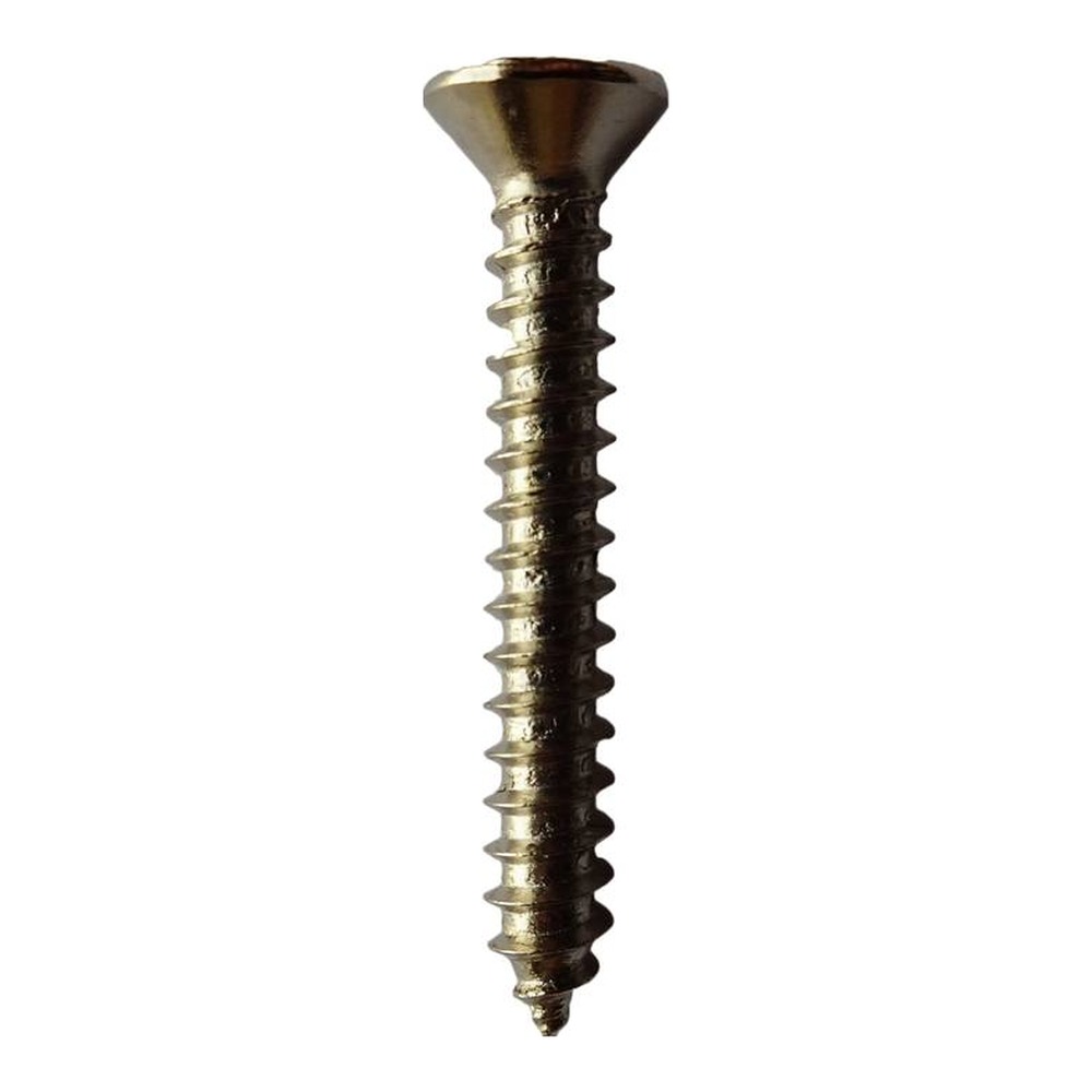 برغي سن صاج TAS موديل 5/8" X 6 مطلي نيكل