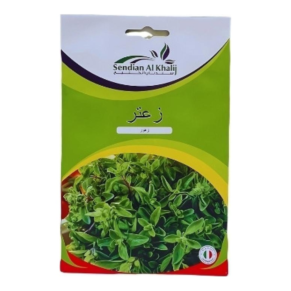 بذور زعتر إيطالي