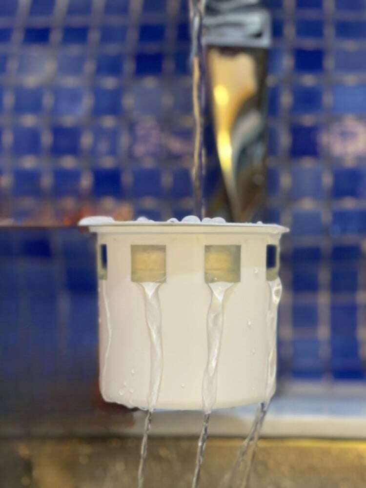 شبكة حشرات